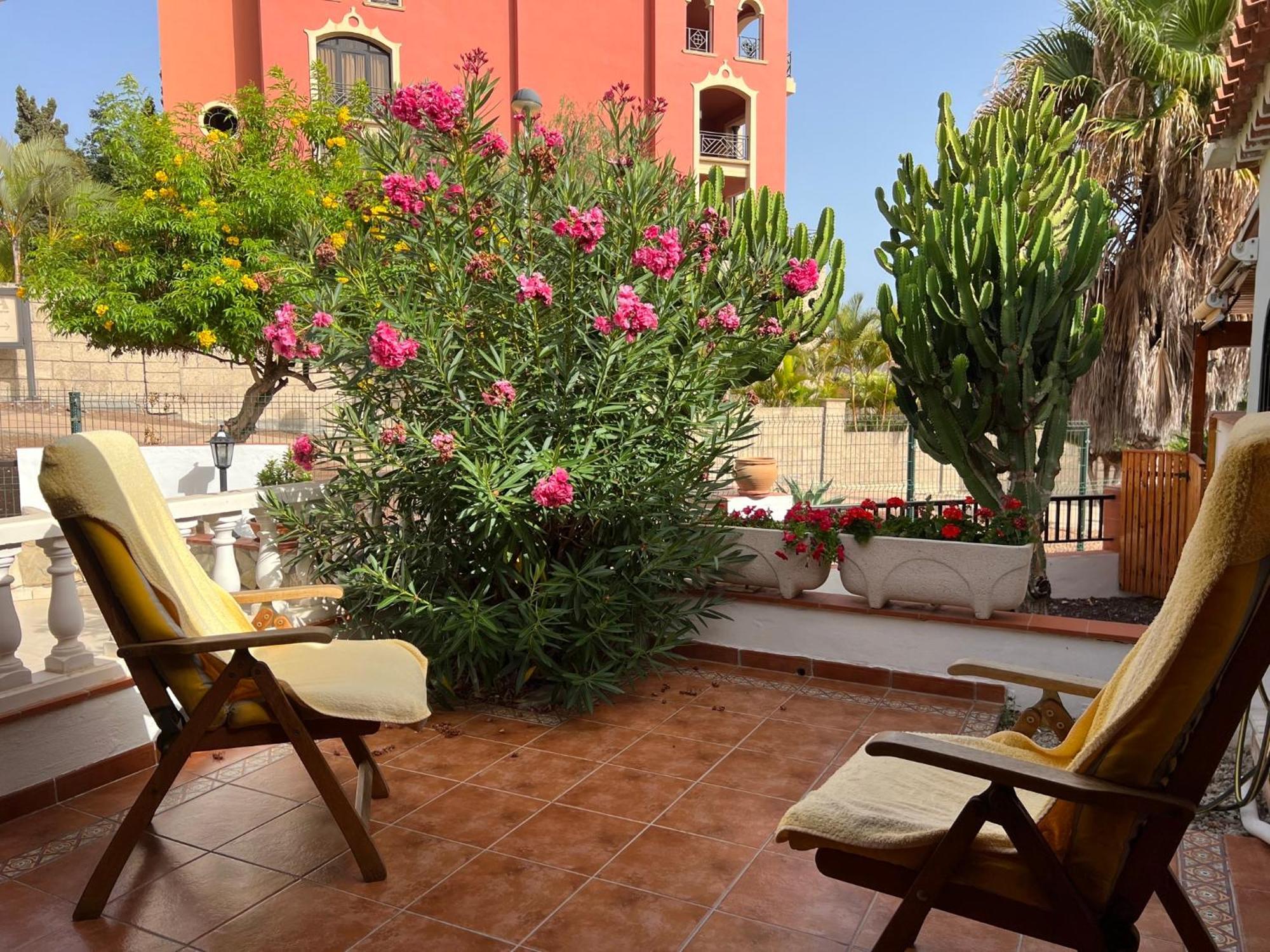 Cactus'S House, 150 M Beach, 1 Bdr, 4 Guests, Wifi, Netflix, أذيخي المظهر الخارجي الصورة