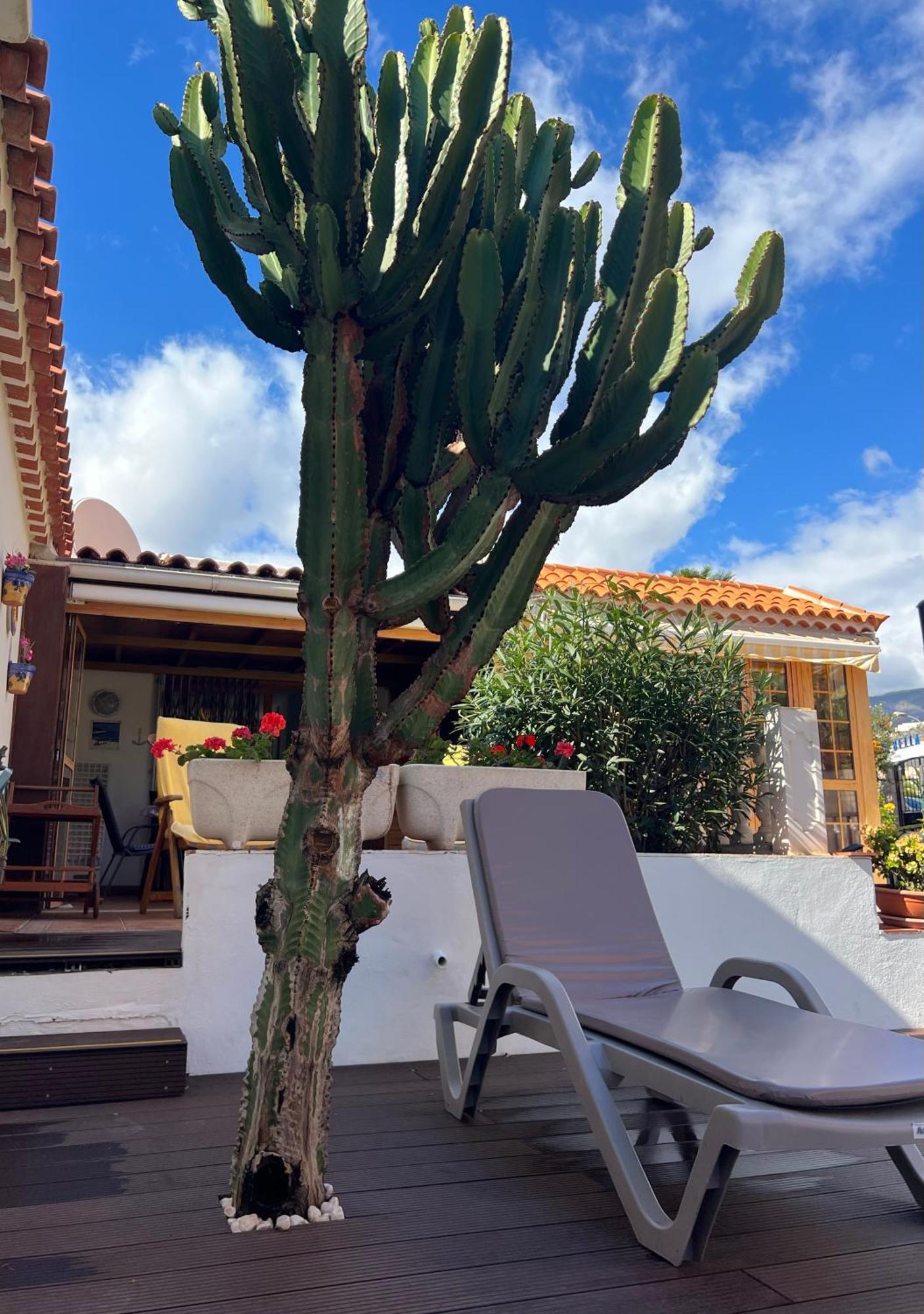 Cactus'S House, 150 M Beach, 1 Bdr, 4 Guests, Wifi, Netflix, أذيخي المظهر الخارجي الصورة